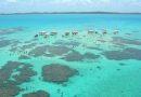 Paraíso brasileiro - Maragogi - Alagoas