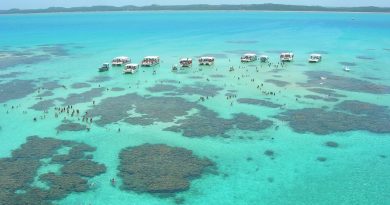 Paraíso brasileiro - Maragogi - Alagoas