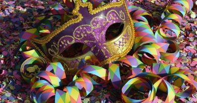 Dicas de segurança para o Carnaval